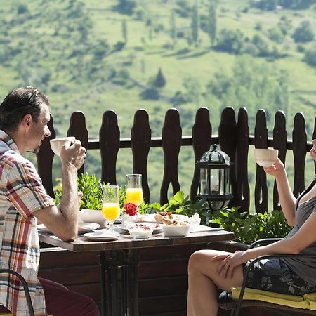Aroma Dryos Spa & Eco Hotel Metsovo Luaran gambar