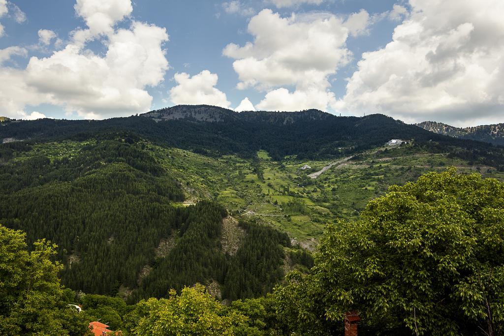 Aroma Dryos Spa & Eco Hotel Metsovo Bilik gambar
