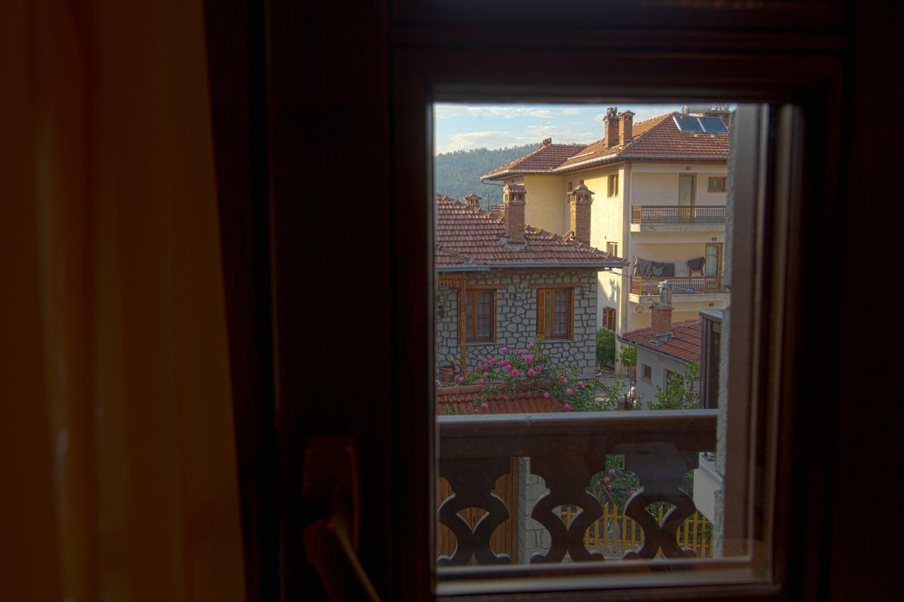 Aroma Dryos Spa & Eco Hotel Metsovo Luaran gambar
