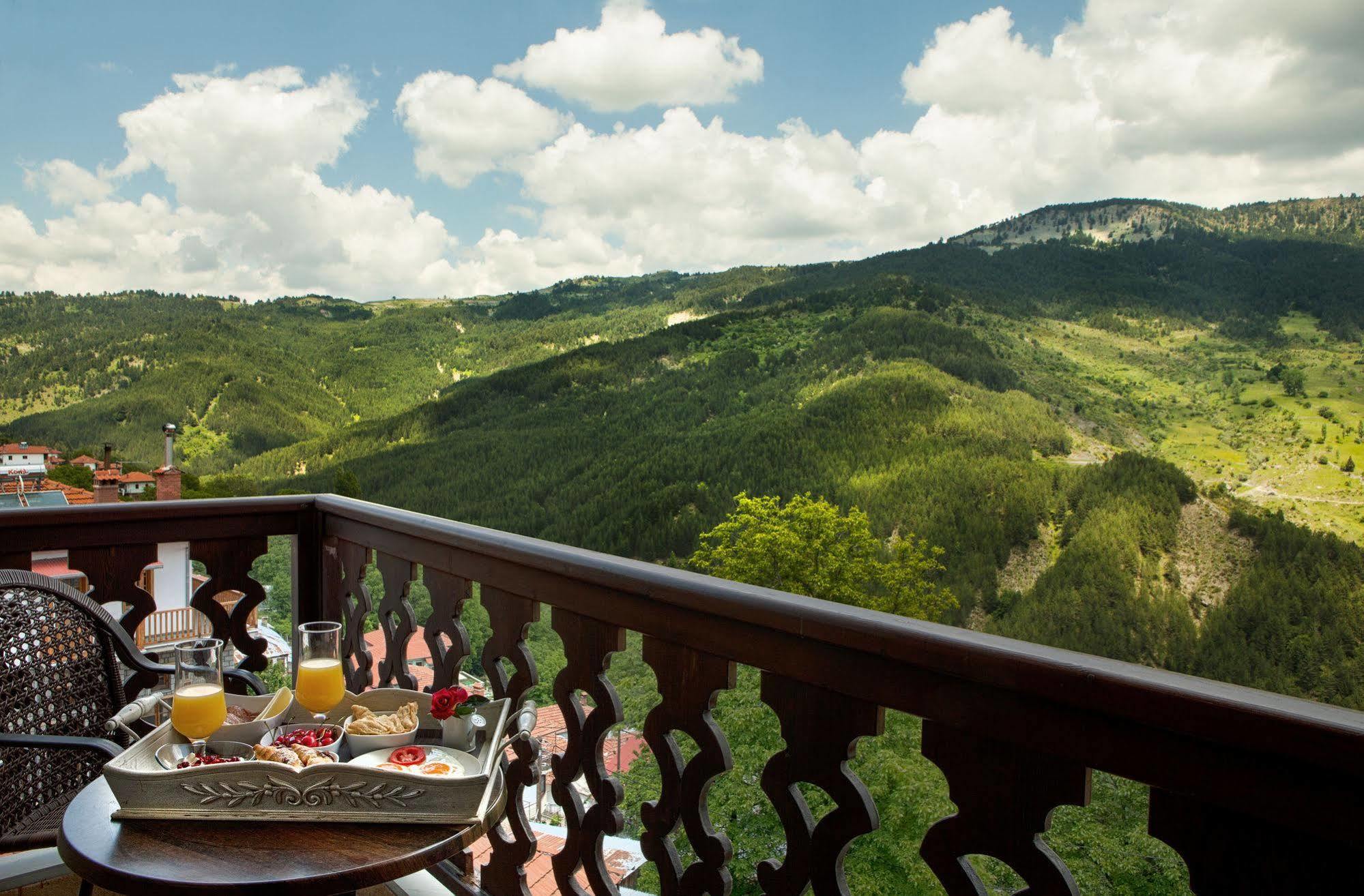 Aroma Dryos Spa & Eco Hotel Metsovo Luaran gambar